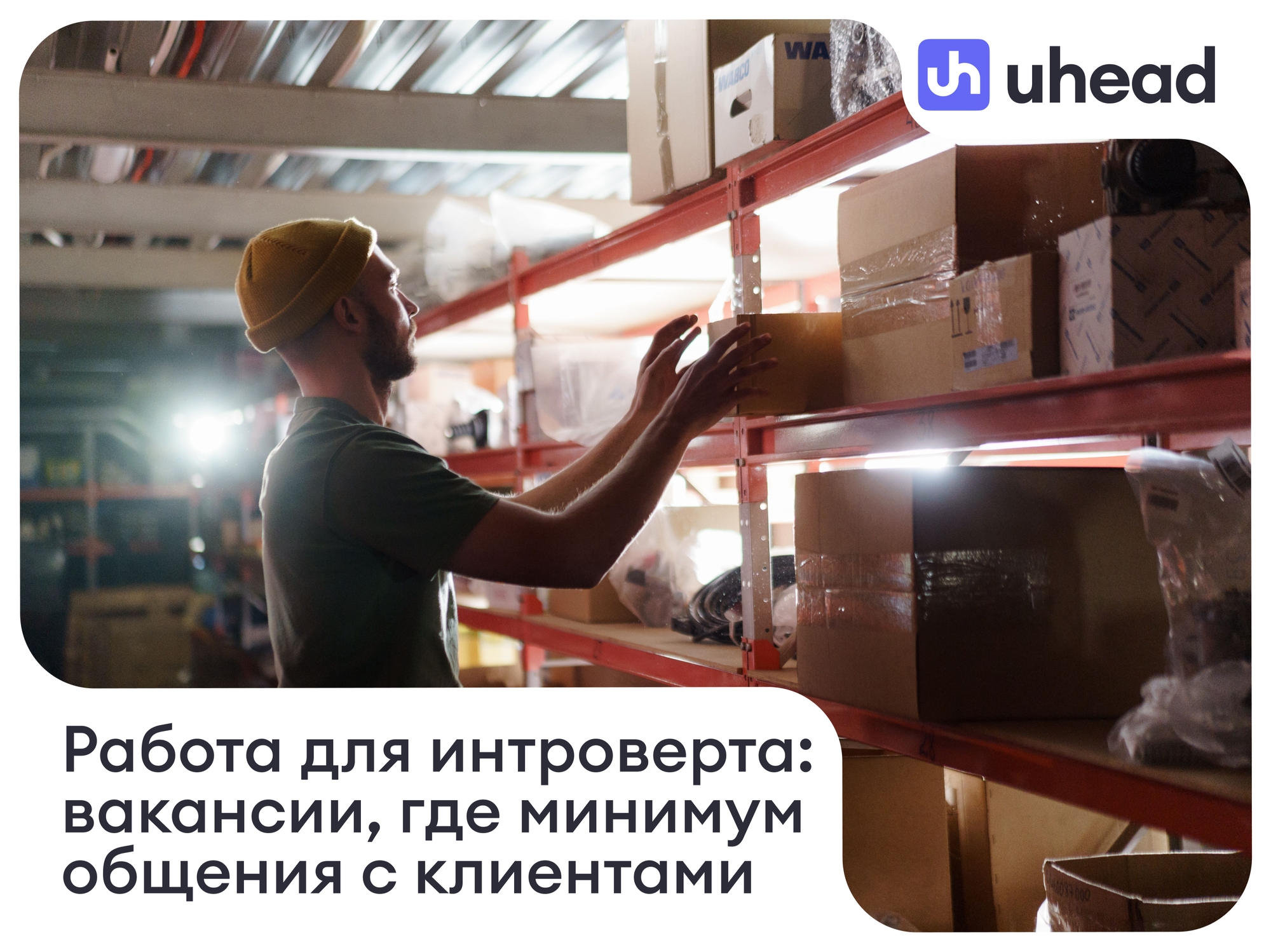 Работа для интроверта: вакансии, где минимум общения с клиентами
