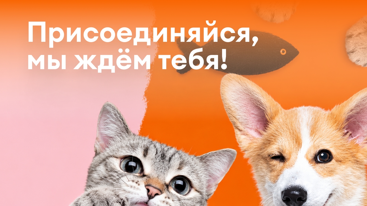 Изображение вакансии Продавец-консультант в зоомагазин (м. Марьино)