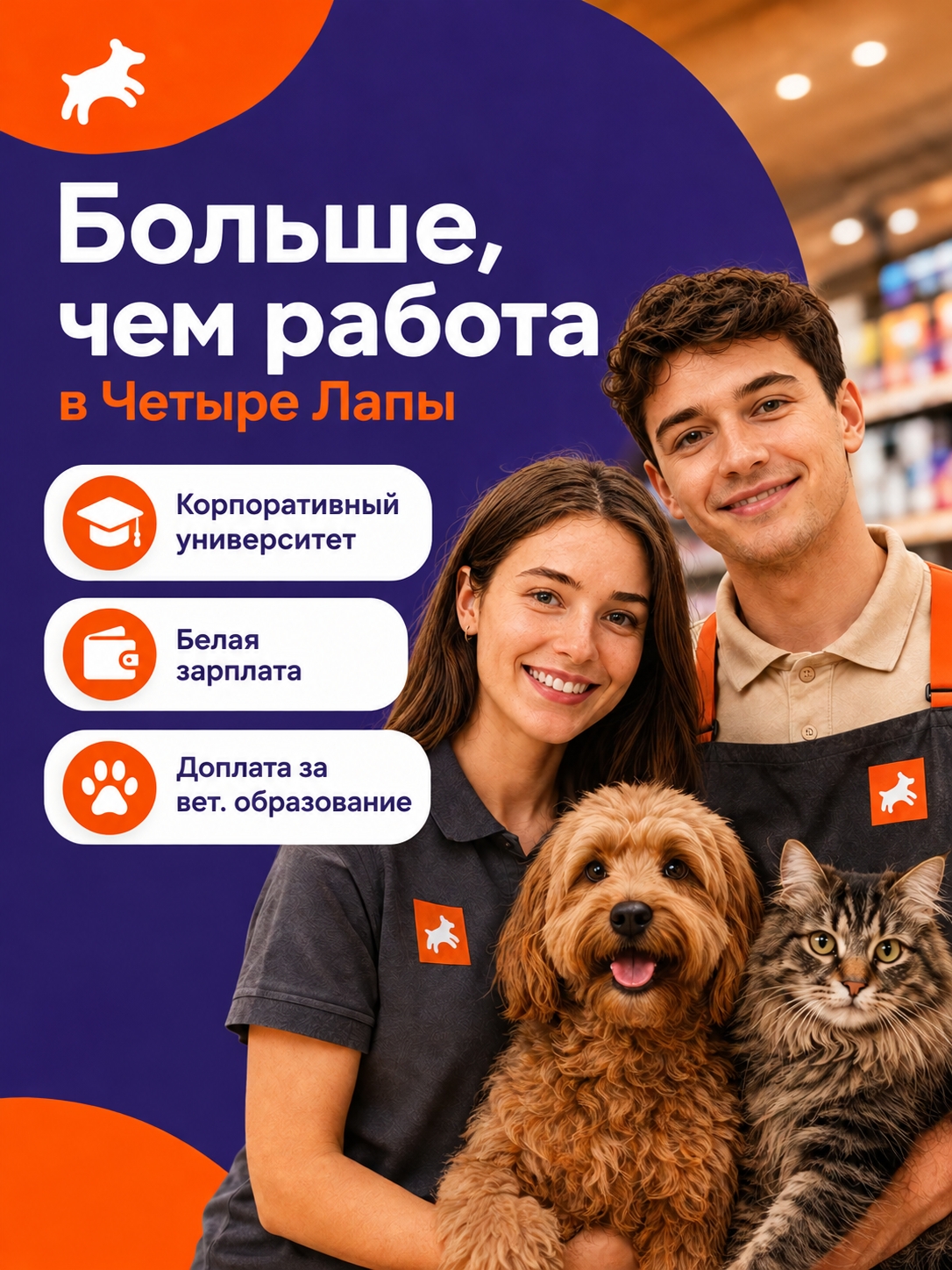 Иллюстрация к публикации «Больше, чем зарплата: что получают сотрудники Четыре Лапы»