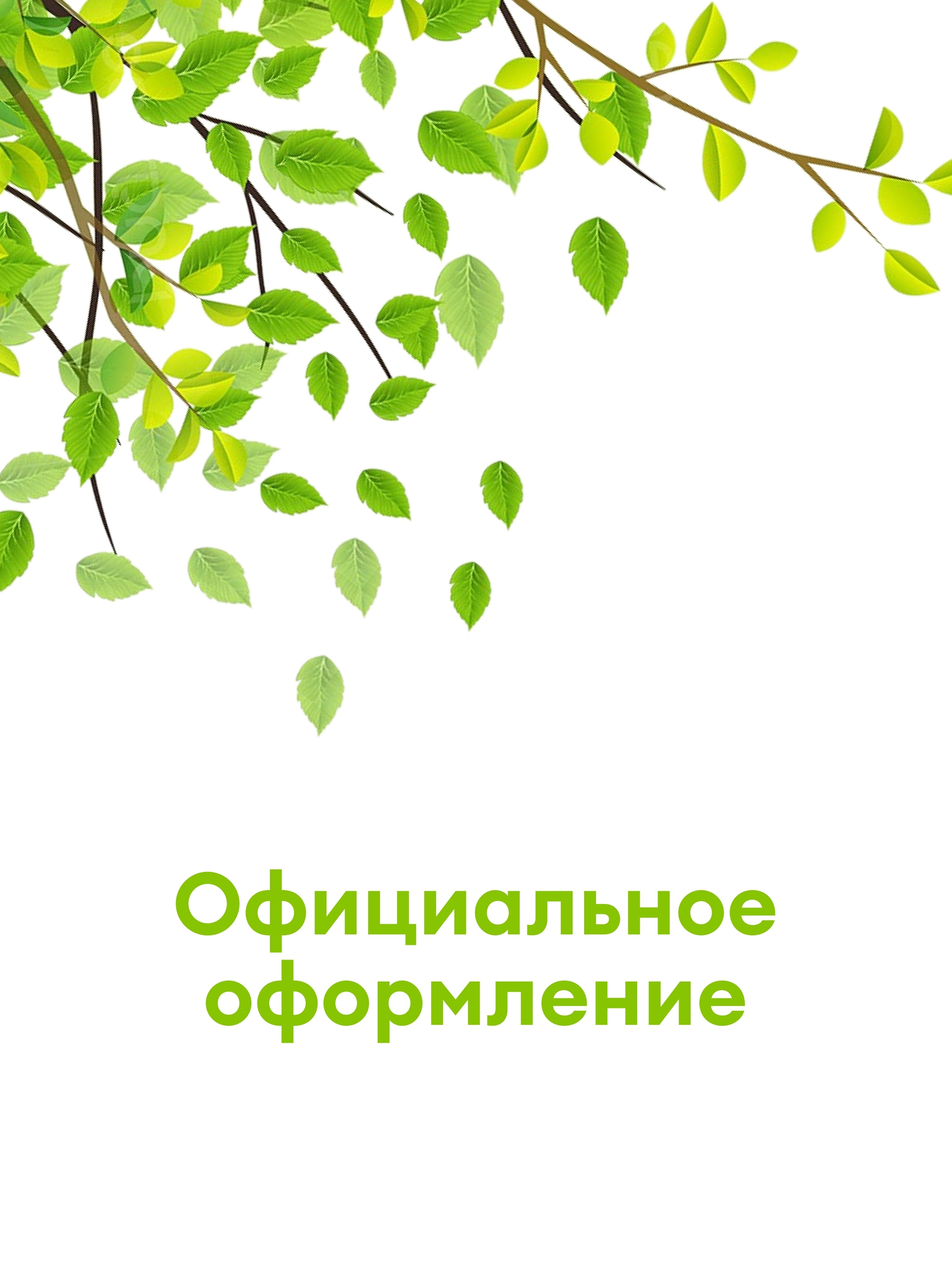 Иллюстрация к публикации «Стабильный белый доход»