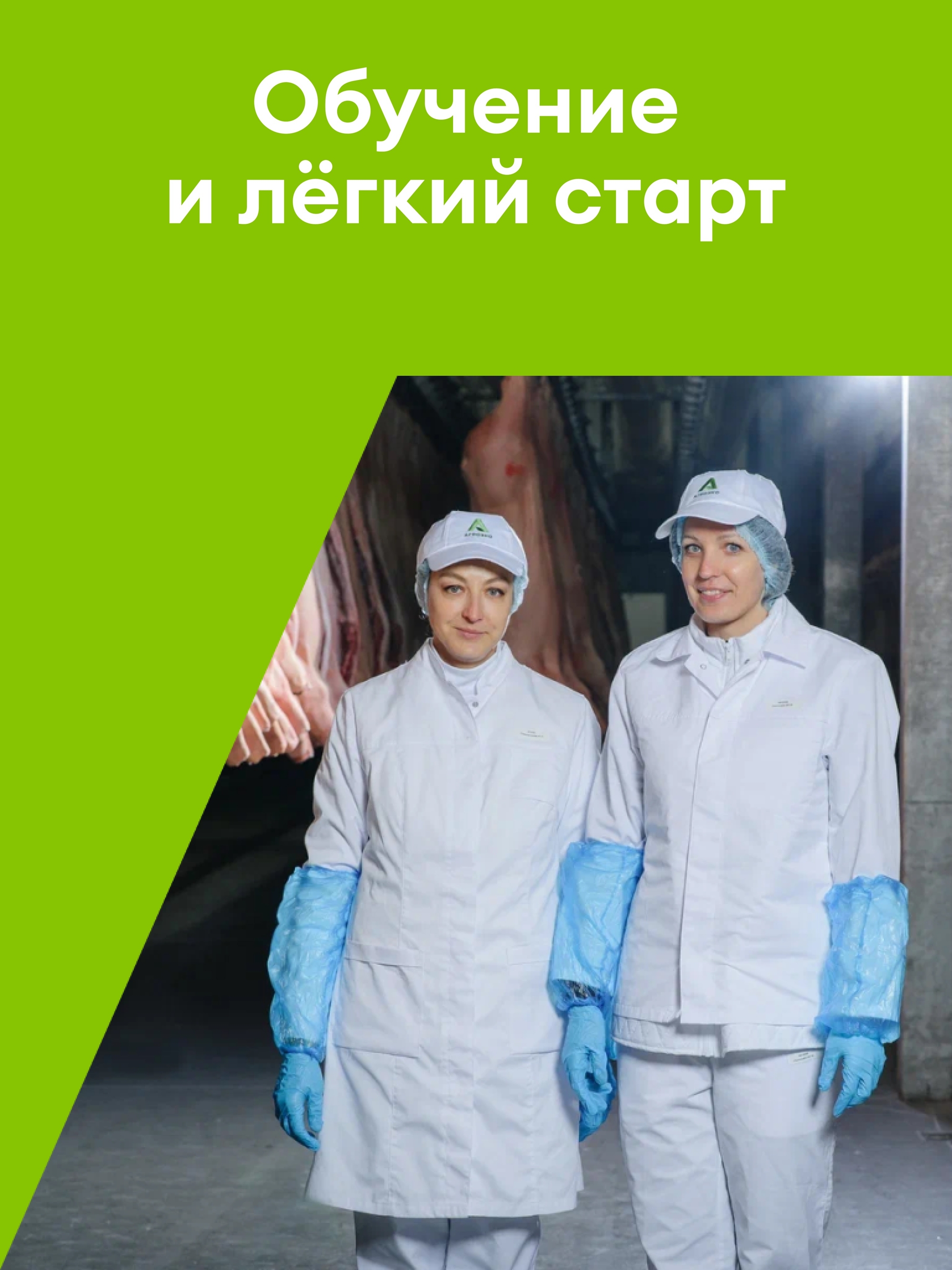 Иллюстрация к публикации «Поможем с обучением»