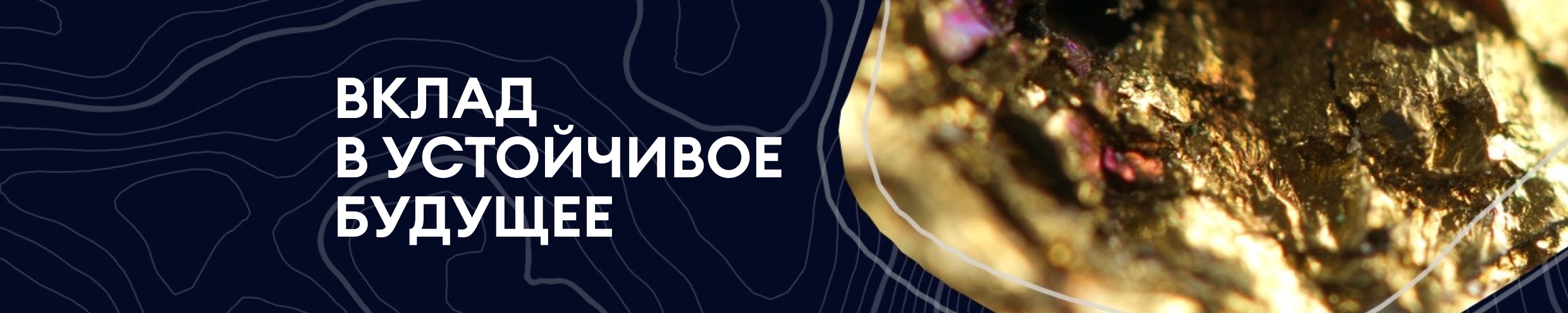 Фон компании