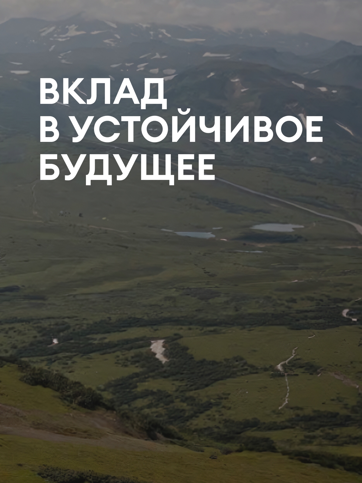 Мобильная обложка компании АРЕАЛ