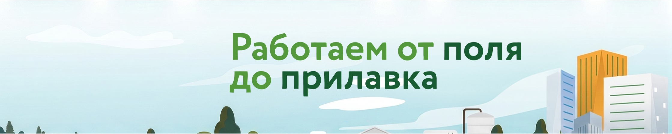 Фон компании